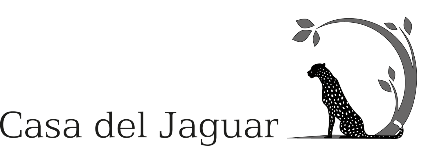 Complete Guide to Enjoying Isla Mujeres to the Fullest Casa Del Jaguar