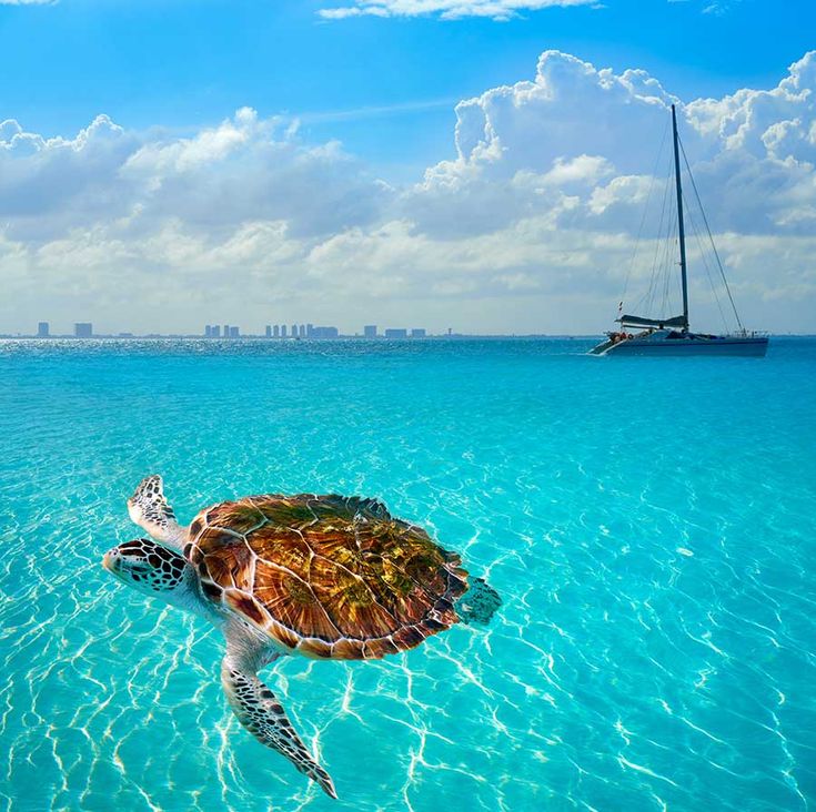 Isla Mujeres: Beyond the Beaches, an Adventure to Discover